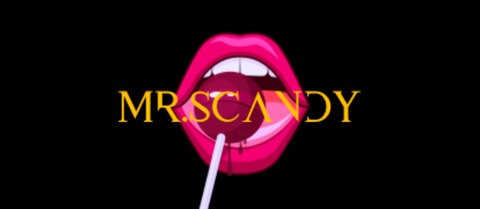 mr.scandy